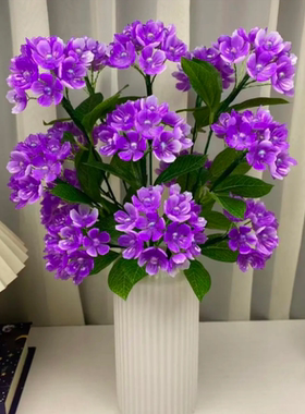 【送同款花瓶】中华木绣球花材料包居家摆件送礼diy