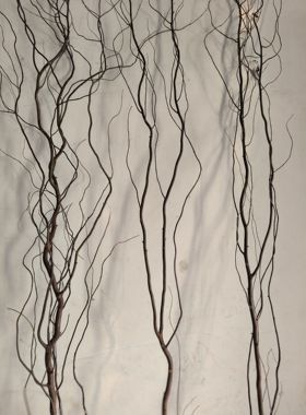 原生态自然天然树枝 带皮原色形态丰富造型独特云龙柳树枝干树枝