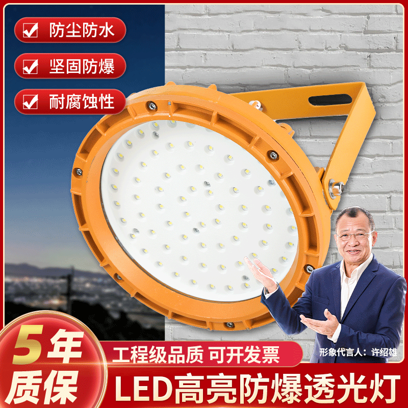 led防爆灯仓库厂房加油站防水防尘防腐工业车间工厂隔爆照明灯罩