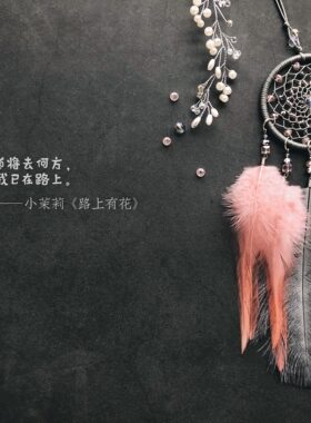 原创高定轻奢水晶羽毛女神捕梦网