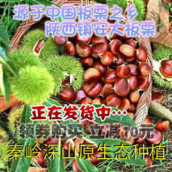 陕南特产镇安板栗生新鲜毛栗子迁西糖炒栗子食材原味零食5斤包邮