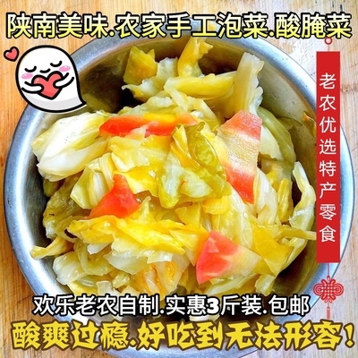 陕南特产泡菜酸辣泡菜爽口下饭菜