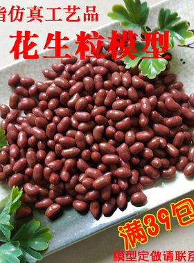 仿真花生模型食品模型配件花生粒模型红皮花生模型拍摄道具
