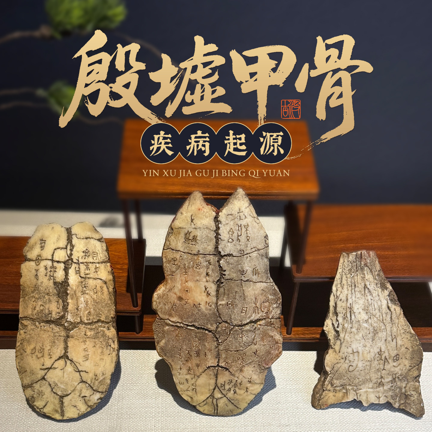 殷墟甲骨 疾病起源 博物馆文物仿真复原中医馆摆件中医药文化装饰