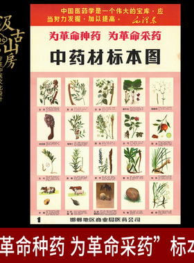 纸质中医文化展览展示