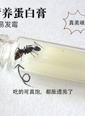 粮食方便营养高不易发霉蚂蚁工坊
