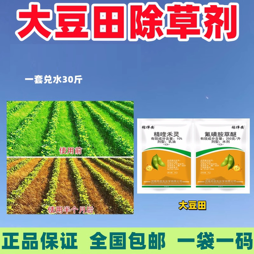 大豆田除草剂大豆苗后专用除草剂黄豆专用农药苗后除草剂不伤苗豆