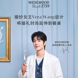 【结婚礼物】现货WEDGWOOD威基伍德酒杯VeraWang爱之结绳香槟杯