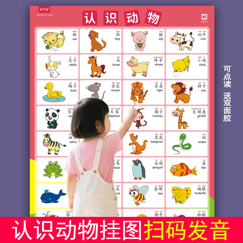 小蝌蚪笔点读认识动物宝宝有声挂图婴幼儿早教英语认知卡片牛书童