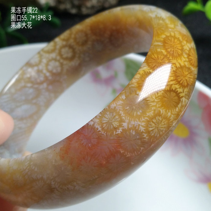 已结缘 天然印尼珊瑚玉手镯55圈口干净大花精品老坑果冻料菊花石