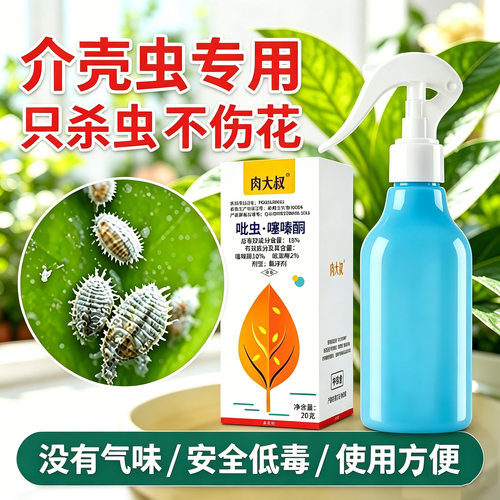 多肉兰花太阳花介壳蚧壳虫杀虫剂