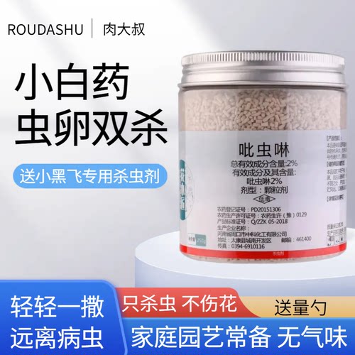 多肉小白药花卉植物小黑飞专杀