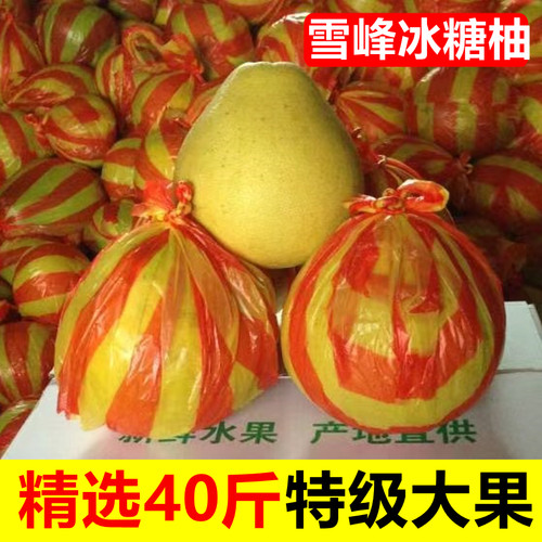 湖南雪峰冰糖柚40斤一大袋