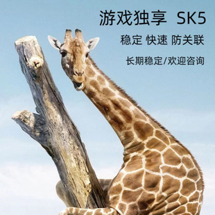 socks5静态独享防关游戏单窗口sk5万安有米多开老鱼梦幻西游