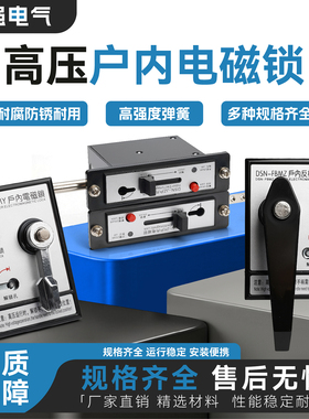 户内高压电磁锁DSN-BMZ BMY/AMZ(Y) I/Y(Z) DMY(Z)手柄式开关柜门