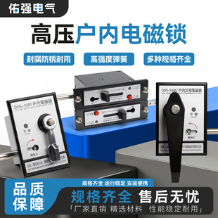户内高压电磁锁DSN-BMZ BMY/AMZ(Y) I/Y(Z) DMY(Z)手柄式开关柜门