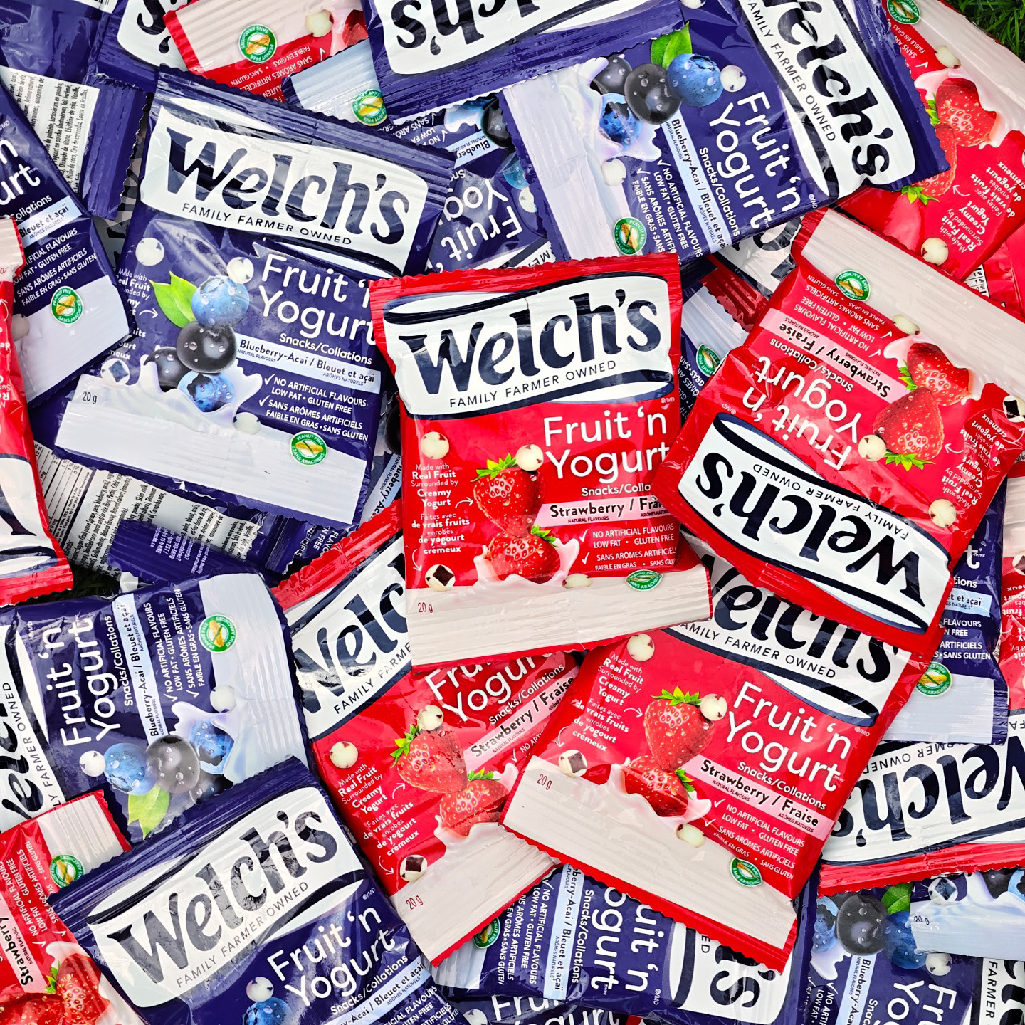 加拿大水果酸奶软糖酸奶豆糖果酸甜夹心软糖FRUIT YOGURT SNACKS