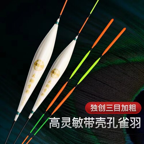 太湖青羽大物孔雀羽毛漂