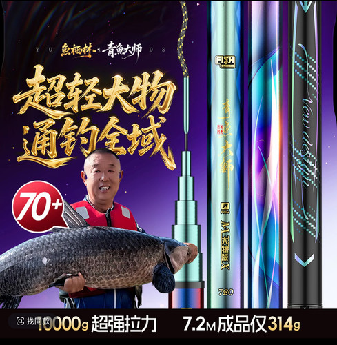 鱼栖林青鱼大师大物版调钓版