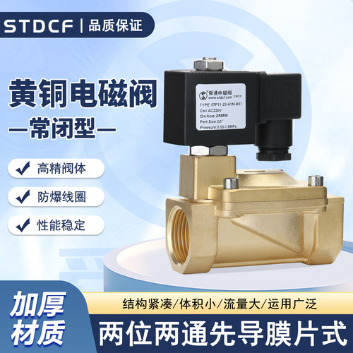 STP11先导电磁阀AC220V常闭水用