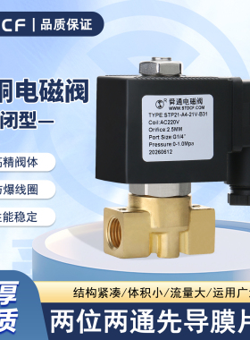 STP21-06-AC220V电磁阀B31高温高压黄铜2分3分进水电磁阀