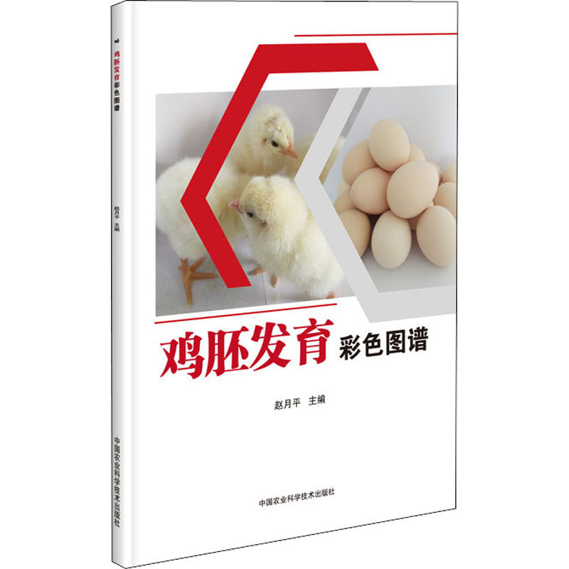 鸡胚发育彩色图谱 9787511646095 赵月平主编 鸡胚蛋发育的透视影像