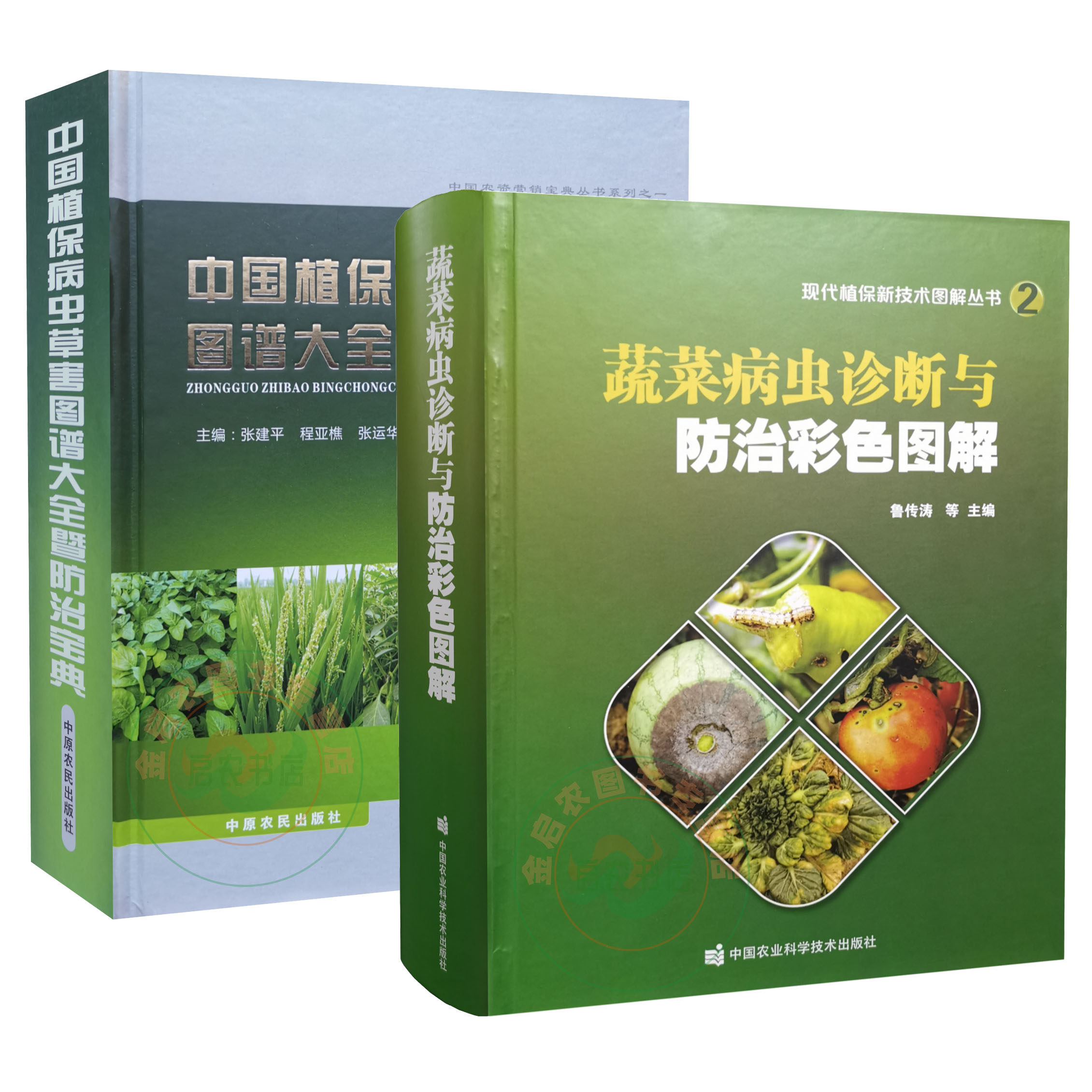 2025年全新修订 中国植保病虫草害图谱大全暨防治宝典+ 2021蔬菜病虫诊断与防治彩色图解 套餐两本 9787807394884  9787511649799