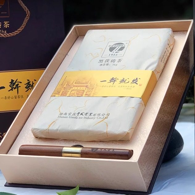 沅陵一干就发湖南黑茶怀化碣滩茶湘西茯砖茶正宗干发茶叶礼盒包邮