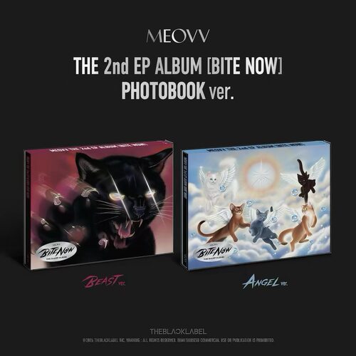正版 喵 MEOVV新专辑 迷你2 BITE NOW 写真小卡周边