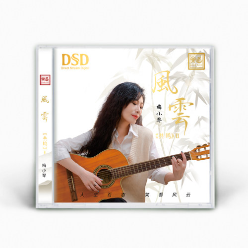正版 梅小琴 共鸣2 风云 DSD 1CD粤语中音HIFI人声乐道车载发烧碟