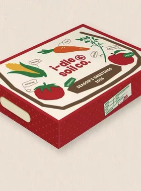 女娃 idle GIDLE 2026台历 SEASON'S GREETINGS 官方小卡海报周边