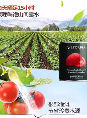 维多利亚那不勒斯去皮番茄罐头 Whole Peeled Tomato 