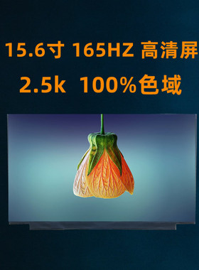 机械革命蛟龙16 液晶屏幕 显示屏NV160WUM-NX2 NE160QDM-NZ1