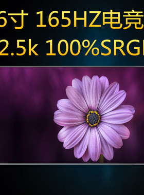 联想r9000P R9000K Y9000P液晶屏幕NE160QDM-NY1 MNG007DA1-1 6/8