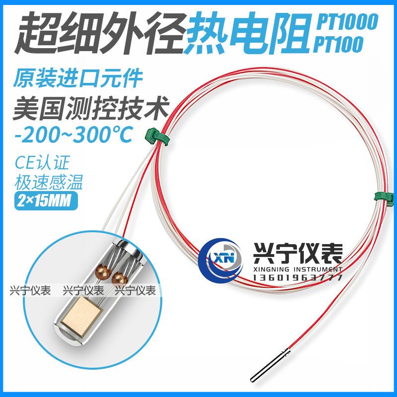 耐高温300度,WZP-PT100热电阻,进口温度传感器探头,可提供CE认证
