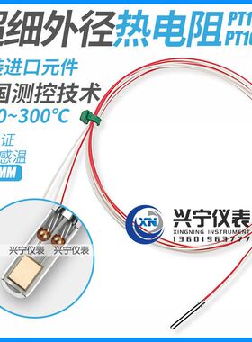 耐高温300度,WZP-PT100热电阻,进口温度传感器探头,可提供CE认证