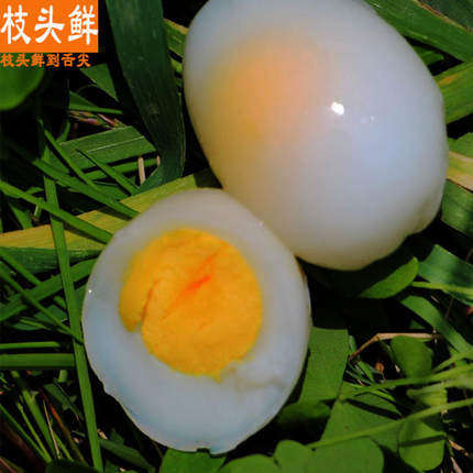 鸽子蛋新鲜精选30只辅食农家土放散养