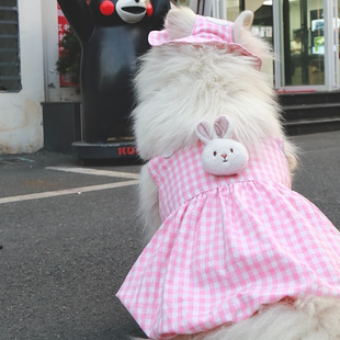 宠物大狗狗衣服狗裙子夏季公仔贴萨摩耶金毛边牧中大型犬衬衣帽子