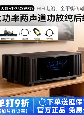 天逸AD-2500PRO 大功率两声道功放纯后级发烧HIFI功率放大器立体