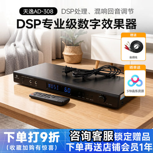 天逸专业数字防啸叫前级效果器
