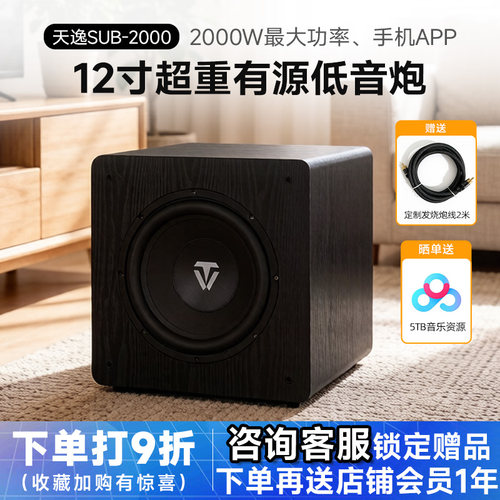 天逸SUB系列有源低音炮多尺寸选