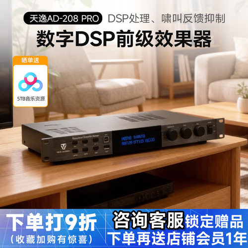 天逸208PRO卡拉OK前级混响效果器