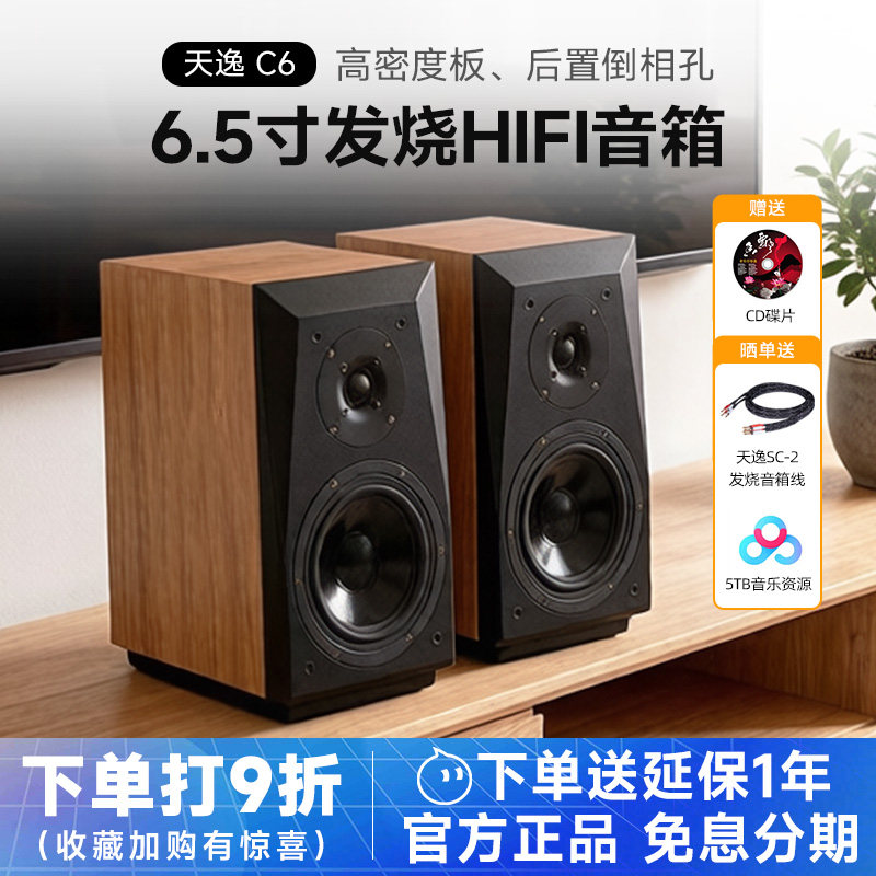 Winner/天逸 童笛C6高保真发烧人声HiFi立体声2.0无源书架音箱