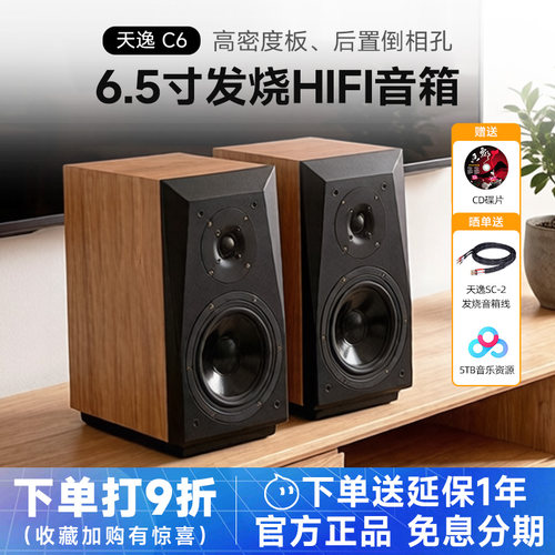 天逸童笛C6发烧人声HIFI音箱