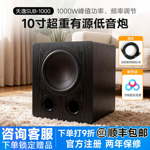 Winner/天逸 SUB-1000十寸家用大功率专业发烧HiFi有源超重低音炮