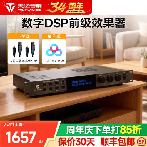 天逸208PRO卡拉OK前级混响效果器