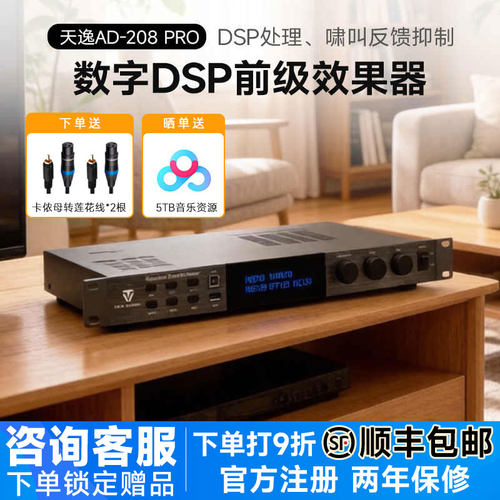 天逸208PRO卡拉OK前级混响效果器