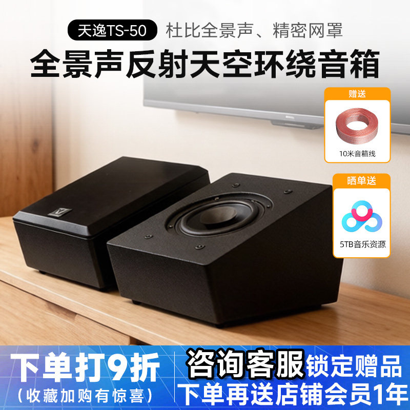 Winner/天逸 TS-50全景声反射天空环绕声道家庭影院前置增高音响
