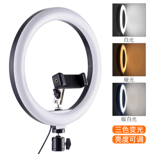 直播补光灯室内美颜嫩肤打光灯160 260环形灯单机位可万向调 200