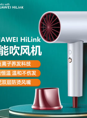 ApiYoo 艾优电吹风机负离子养发智能恒温护发大风量速干不伤发